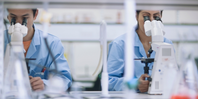 Scientists working in laboratory with microscopes